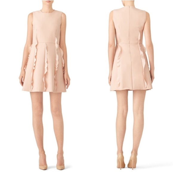 Red Valentino Pink Ruffle Skirt Dress Sz L - Picture 1 of 11